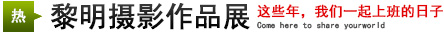 攝影展：這些年，我們一起上班的日子